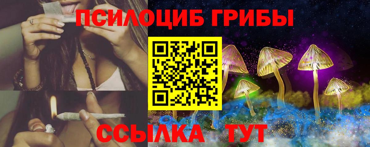 Псилоцибиновые грибы GOLDEN TEACHER  Вход с VPN  Кудрово 