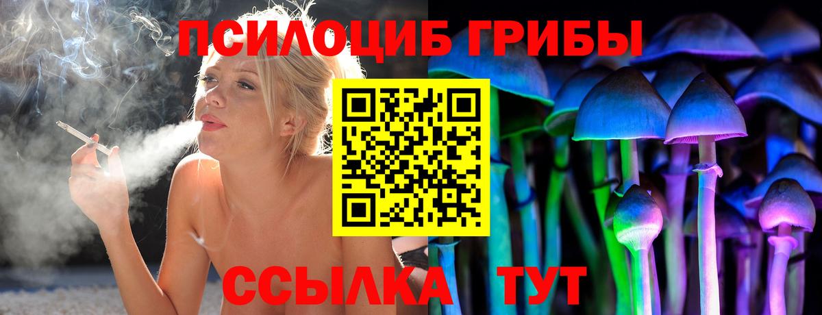 APVP СК кристаллы  ГАШИШ  Вход с VPN  МЕФ кристаллы  Кудрово  МДМА  Cocaine  Конопля 