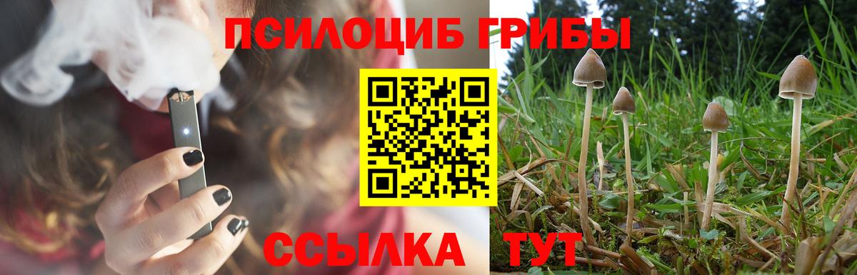 Галлюциногенные грибы Cubensis Кудрово